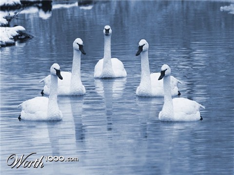 Photoshop Design by JClark8220