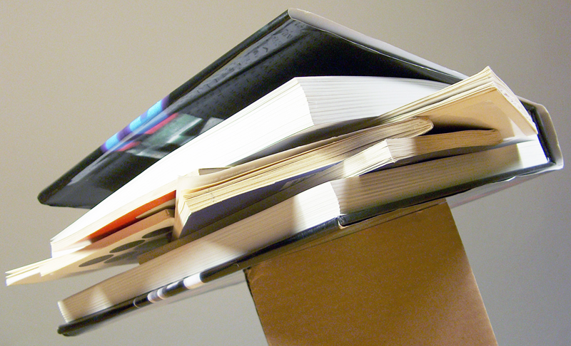 Fotografía por brut carniollus para DesignCrowd (Community Contests) | Diseño #9091910