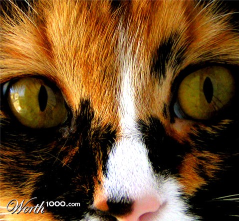 Photography by jasoned