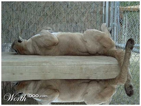 Photoshop Design by manuelvv