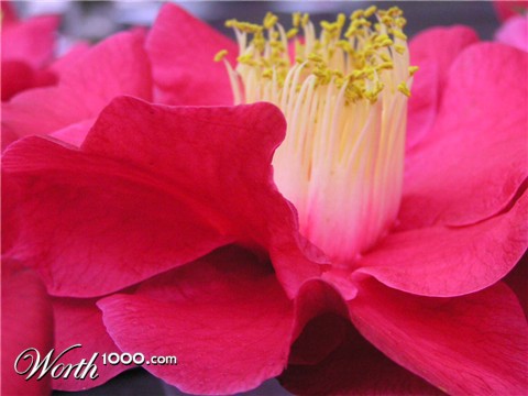 Photography by klxner