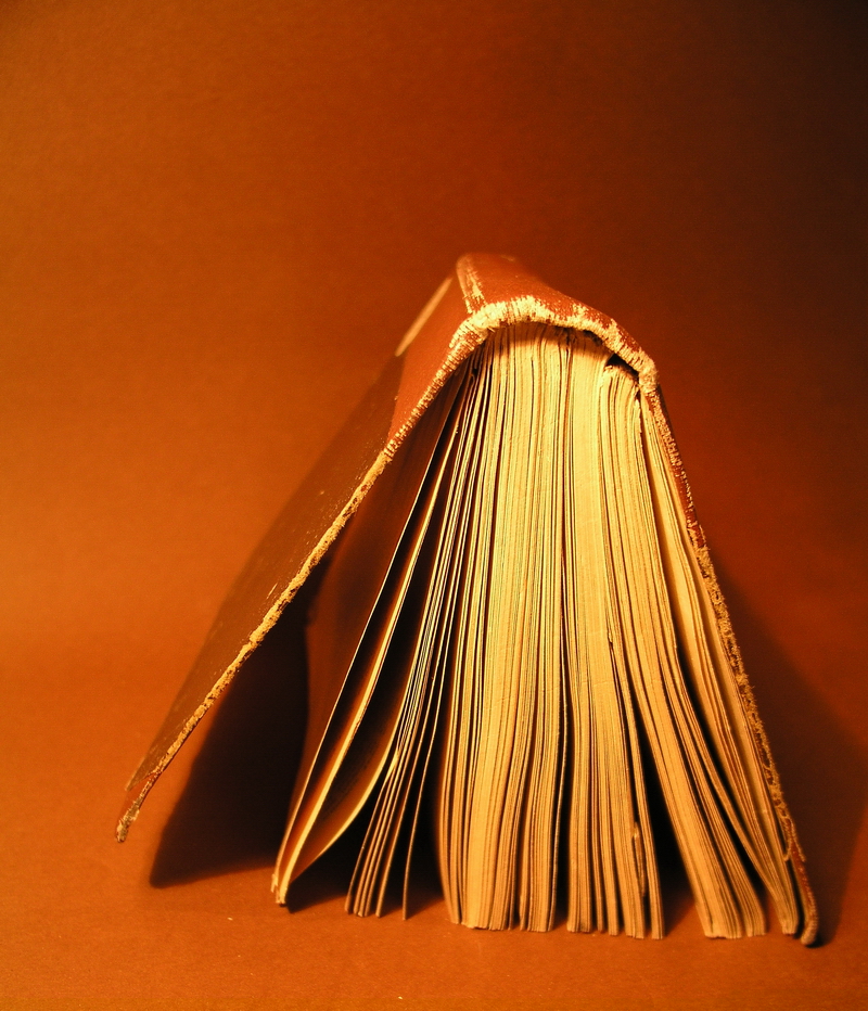 Fotografía por mzmzmzmz para DesignCrowd (Community Contests) | Diseño #9091855