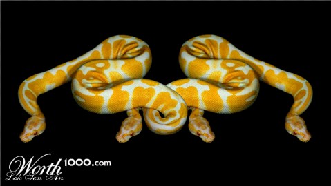 Photoshop Design by LokSenAn