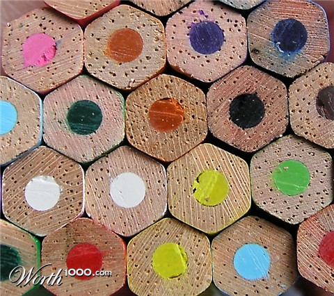 Photography by mzmzmzmz