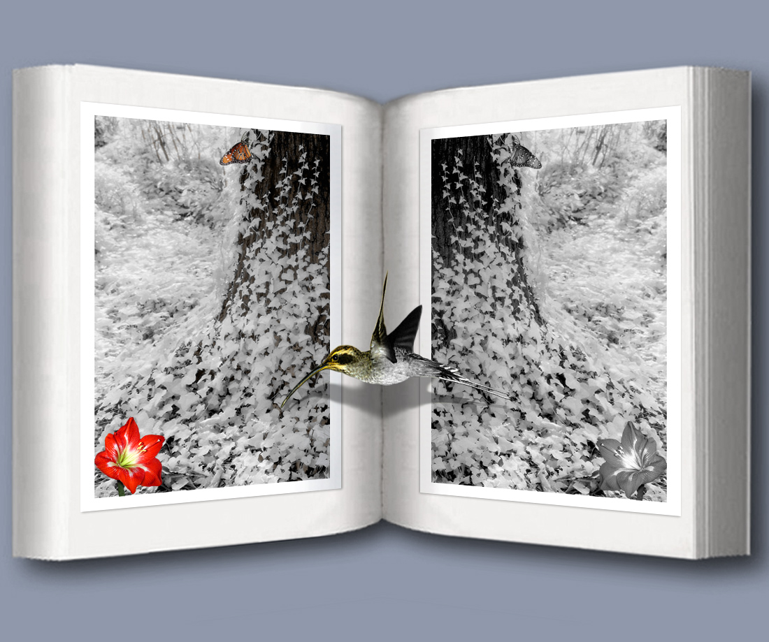 Photoshop Design by Birdmanc for DesignCrowd (Community Contests) | Design #9093939