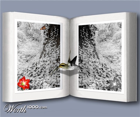 Photoshop Design by Birdmanc