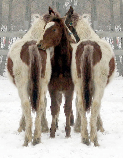 Diseño de Photoshop por narcosleepy para DesignCrowd (Community Contests) | Diseño #9093961