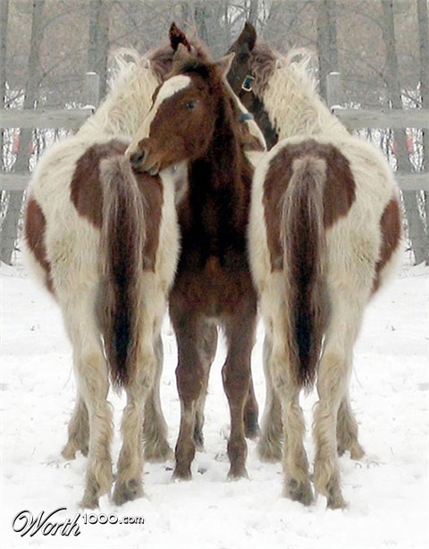 Photoshop Design by narcosleepy