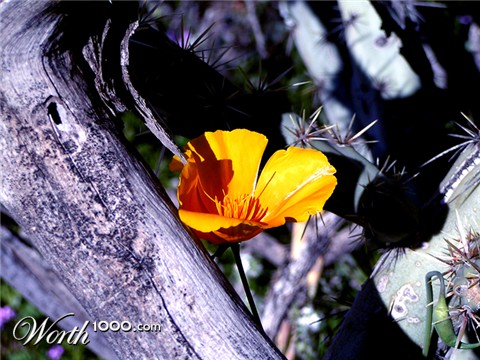 Photography by jasoned