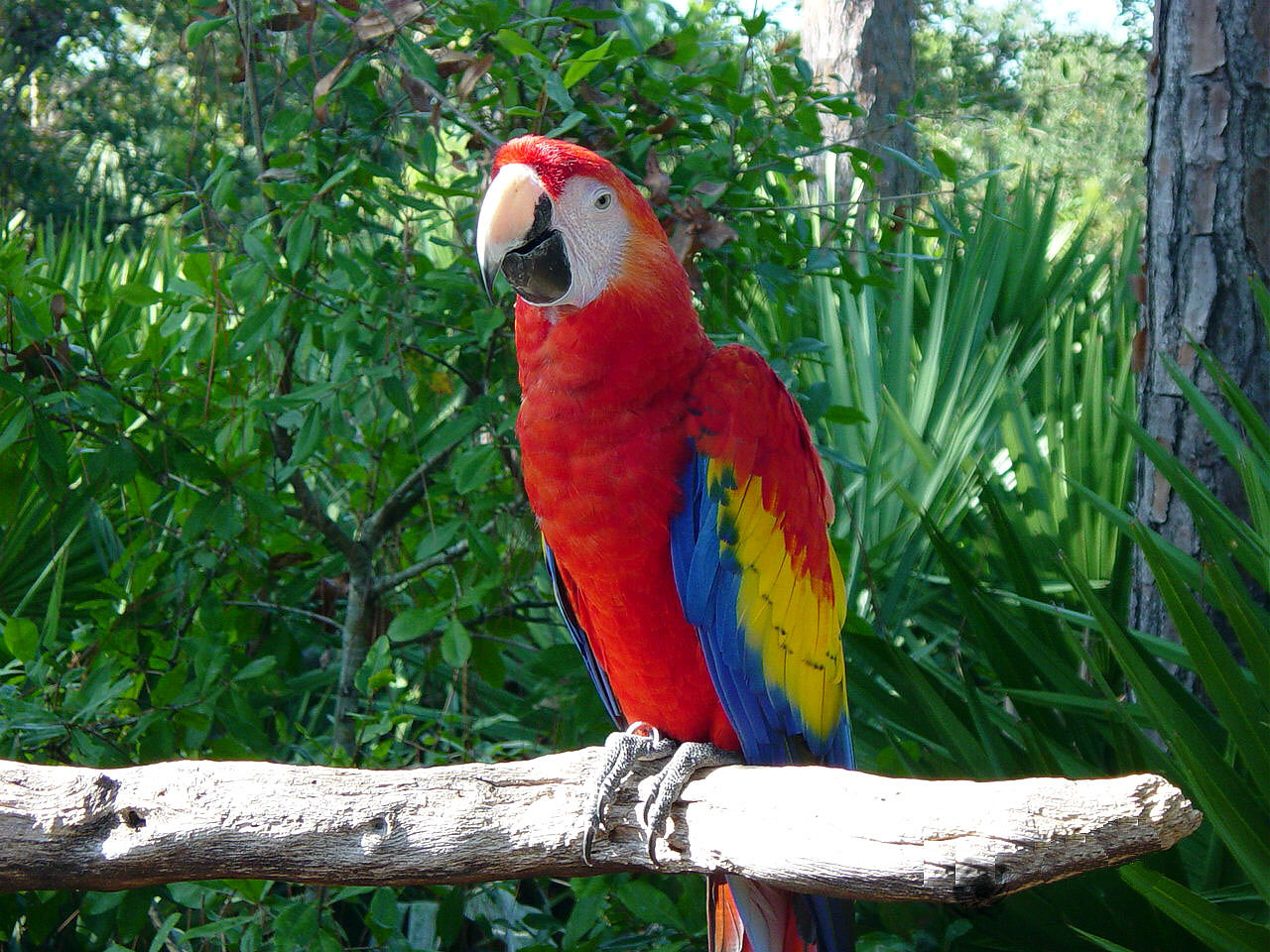 Photography by FRWalters for DesignCrowd (Community Contests) | Design #9088722