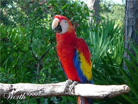 Photography by FRWalters