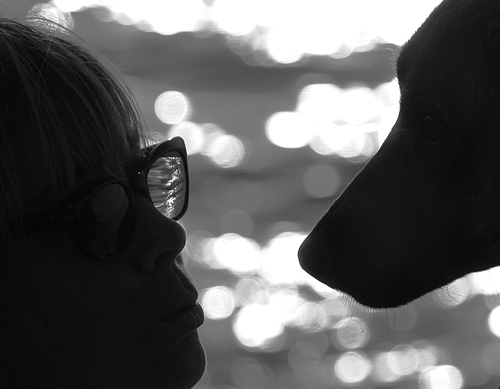 Photography by josephzl for DesignCrowd (Community Contests) | Design #9072132