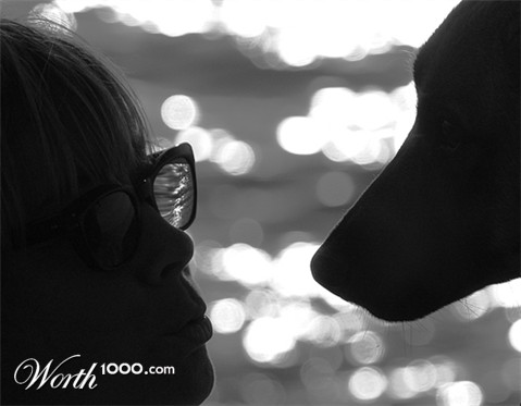 Photography by josephzl