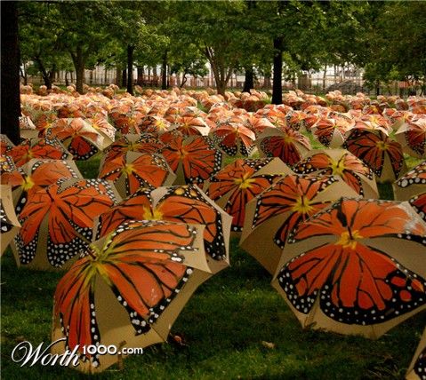 Photography by rdchdwck