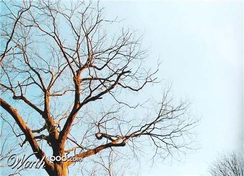 Photography by AlinaB7