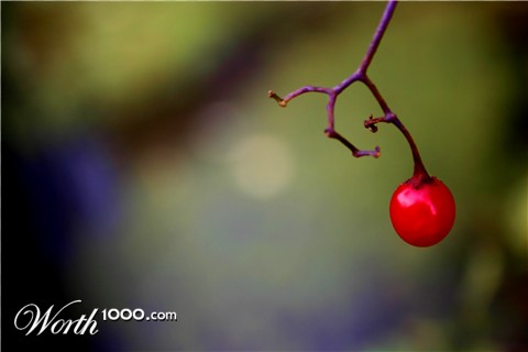 Photography by oleksa