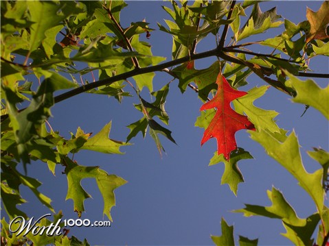 Photography by kdogf5