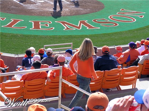 Photography by crgnjul