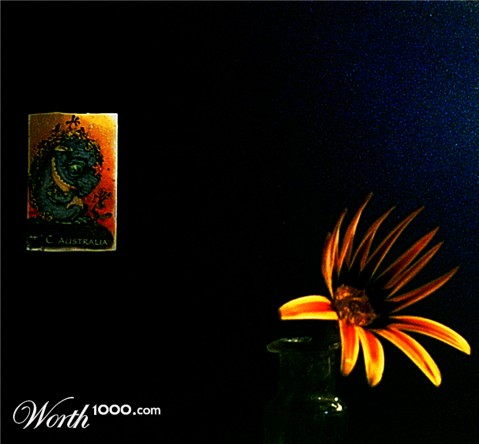 Photography by Budmulla