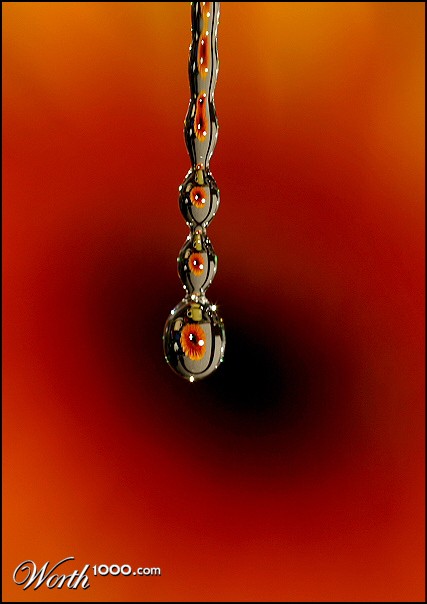 Photography by sfera01
