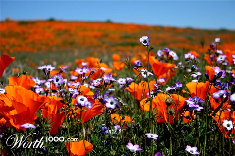 Photography by avbowler