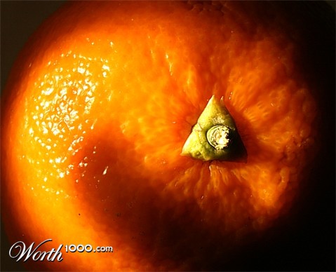 Photography by Riot