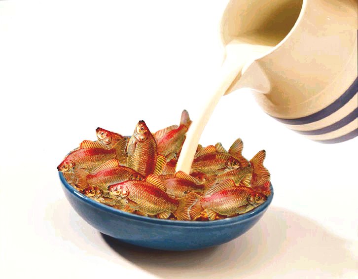 Diseño de Photoshop por cricket1 para DesignCrowd (Community Contests) | Diseño #9093497