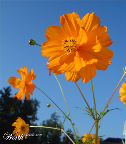 Photography by treebloke