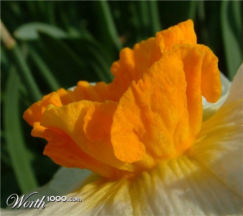 Photography by Haland