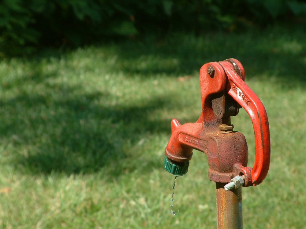 Photographie par Haland pour DesignCrowd (Community Contests) | Design #9088792