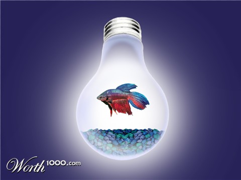Photoshop Design by iggy21
