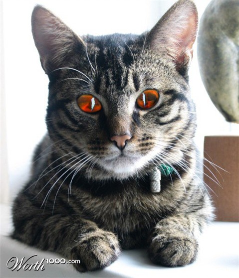 Photoshop Design by BruceLeePSP