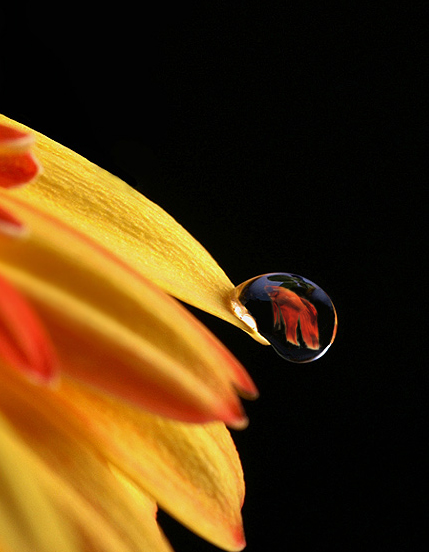 Design Photoshop par Dziedzic pour DesignCrowd (Community Contests) | Design #9093623