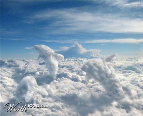 Photoshop Design by DestinationCreation