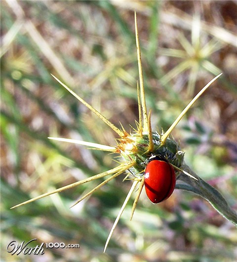 Photography by beckettboots