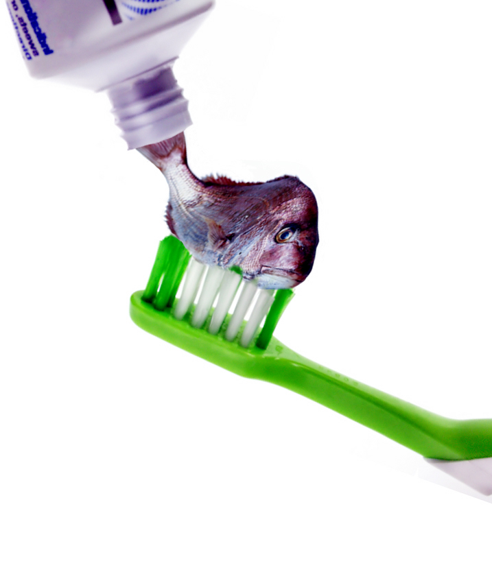 Photoshop Design by chris_ for DesignCrowd (Community Contests) | Design #9093588