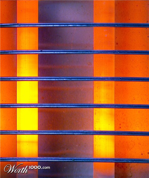 Photography by Xported