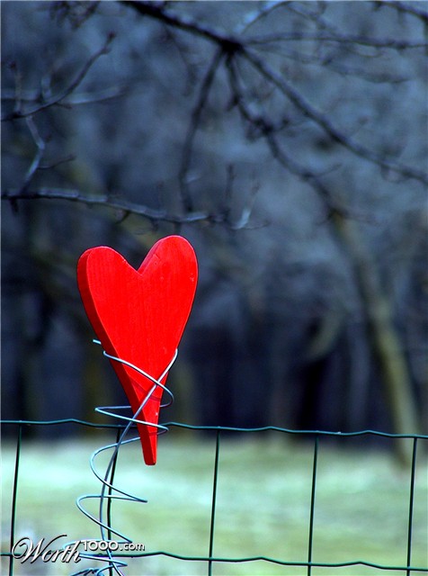 Photography by Xported