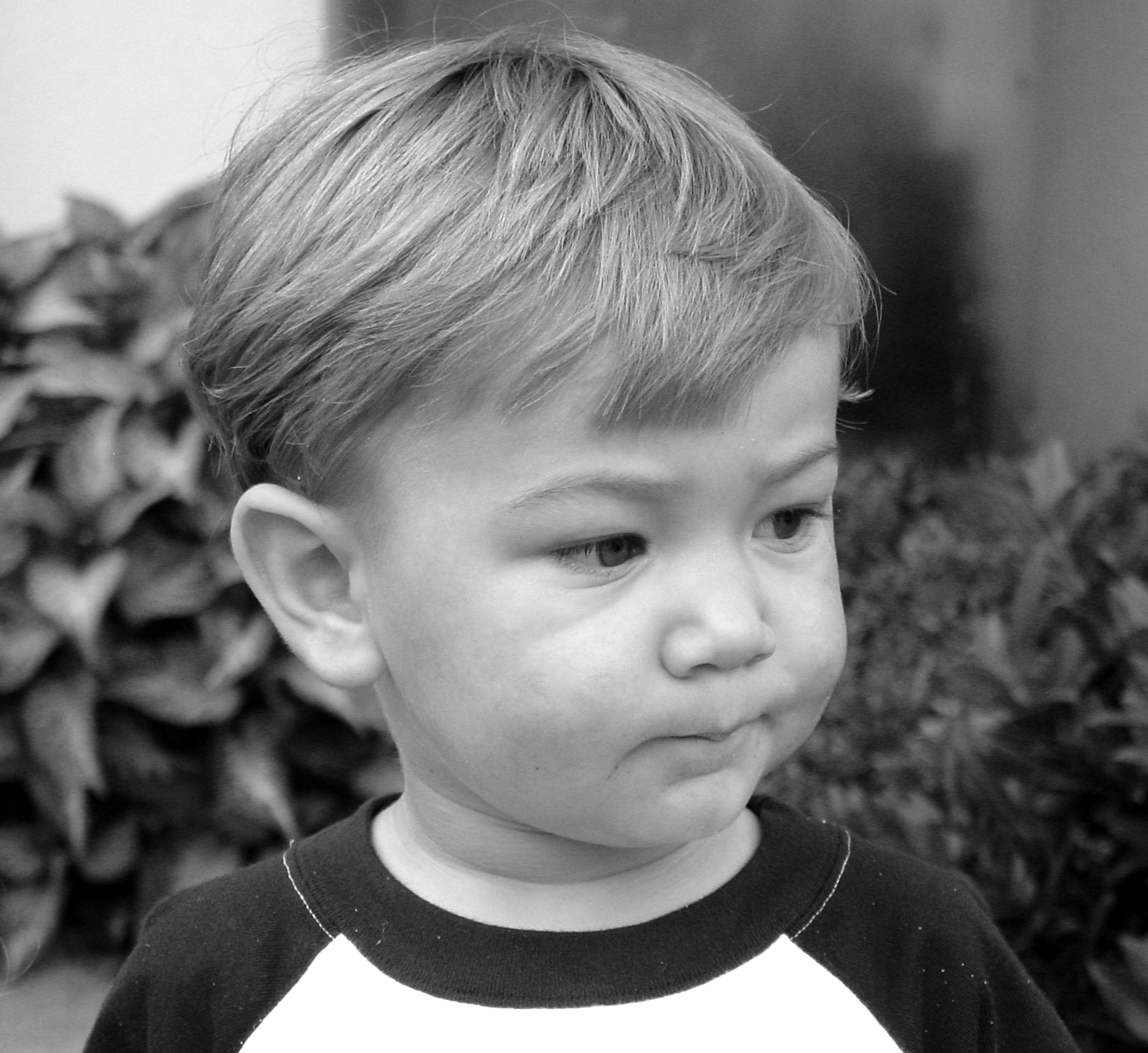 Photography by soulinferno13 for DesignCrowd (Community Contests) | Design #9090970