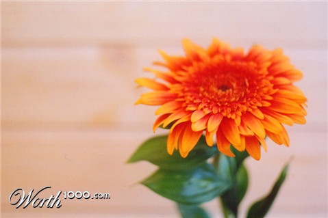 Photography by funcky