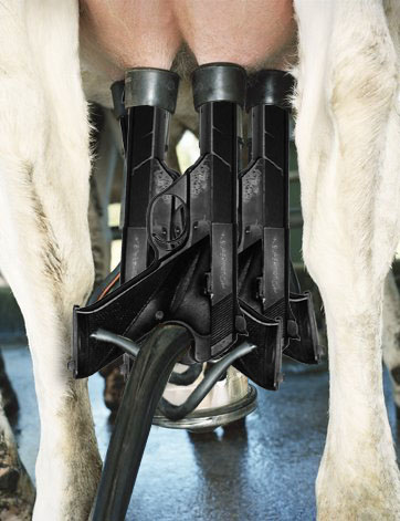 Design Photoshop par Deborahb pour DesignCrowd (Community Contests) | Design #9092254