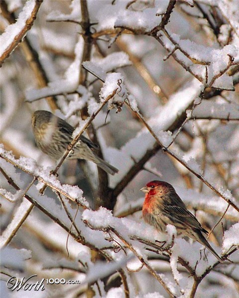 Photography by 35mmguy