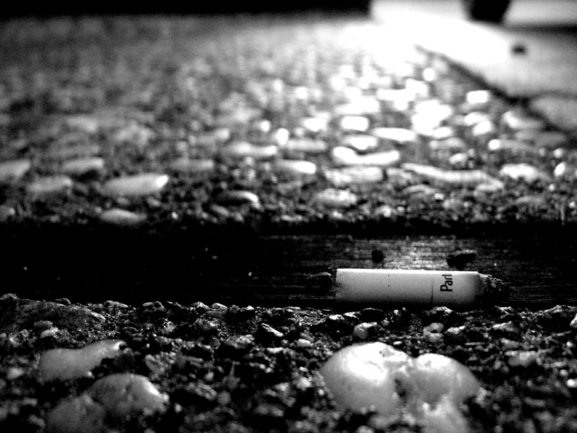 Photography by pitythestupid for DesignCrowd (Community Contests) | Design #9089617