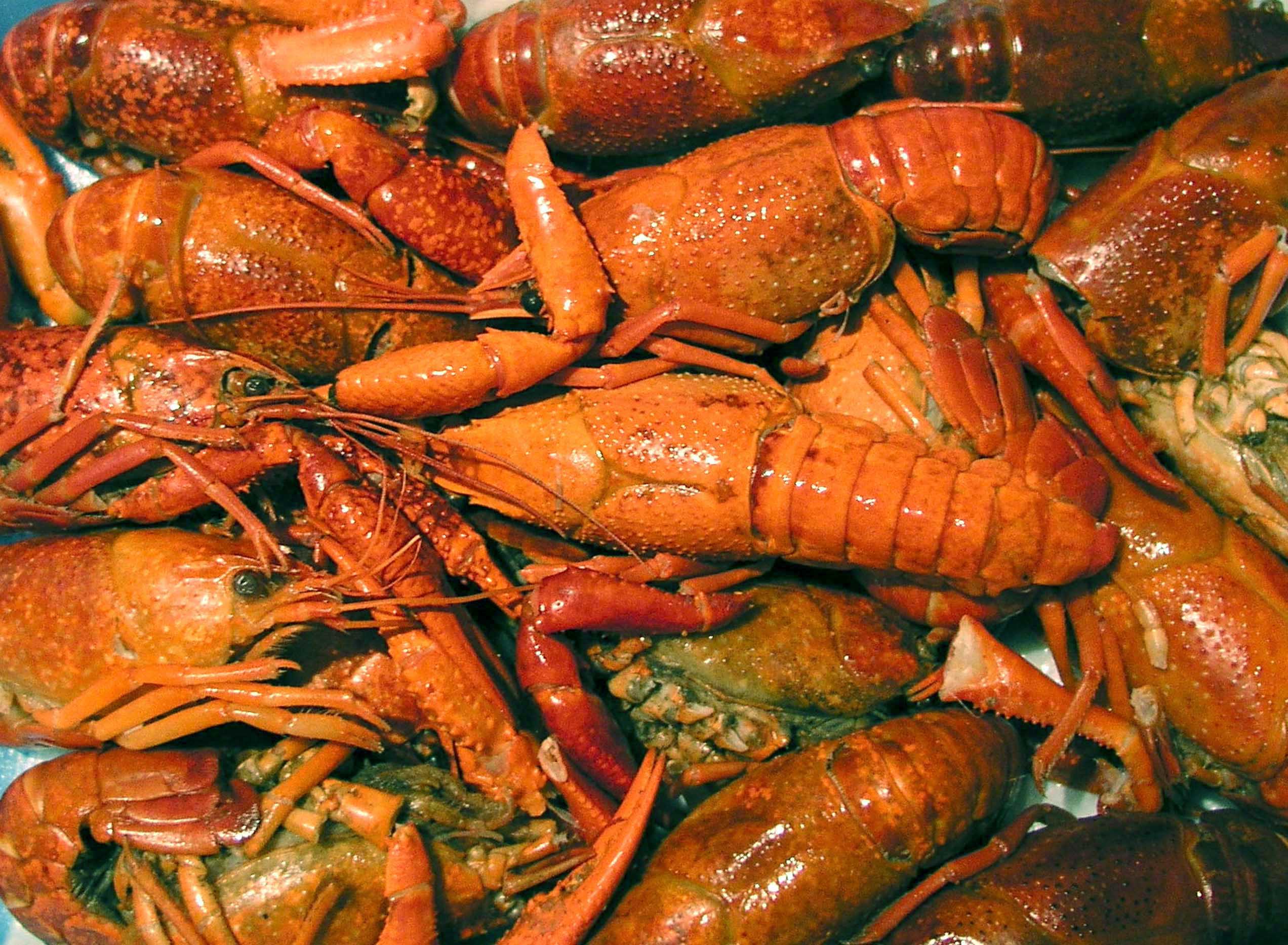 Fotografía por UPUPUP para DesignCrowd (Community Contests) | Diseño #9093748