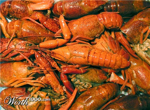 Photography by UPUPUP