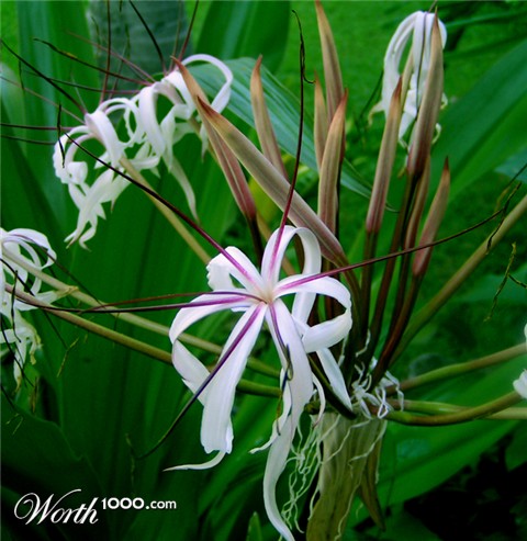 Photography by jasoned