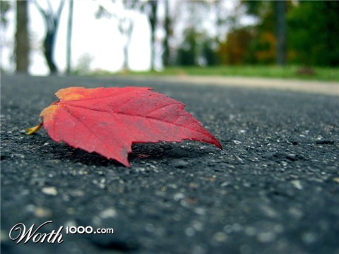 Photography by vidvak