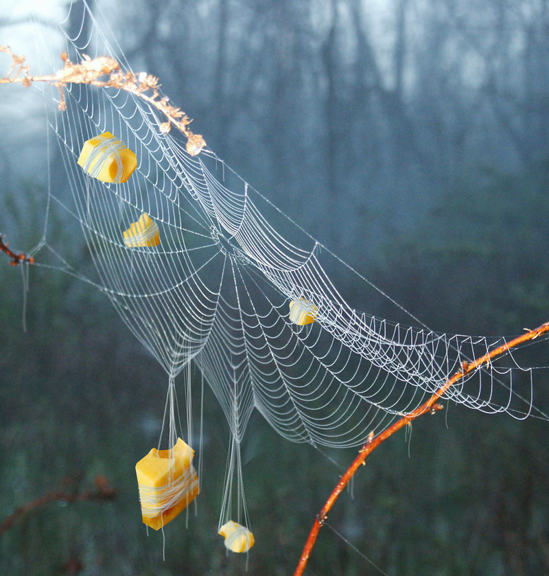 Design Photoshop par DestinationCreation pour DesignCrowd (Community Contests) | Design #9092845