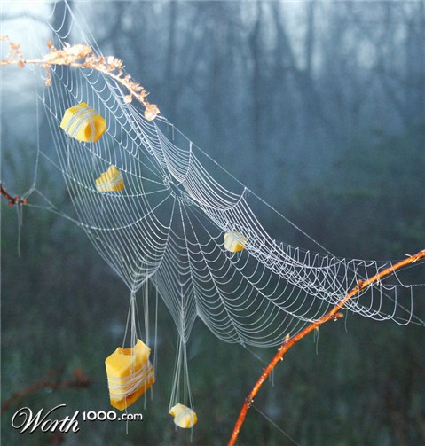 Photoshop Design by DestinationCreation