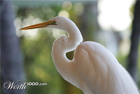 Photography by jiwasz